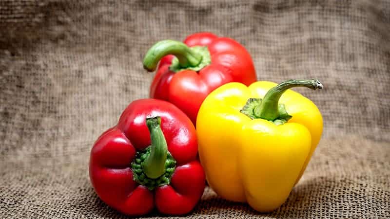 How to deliciously prepare sauerkraut with bell peppers for the winter
