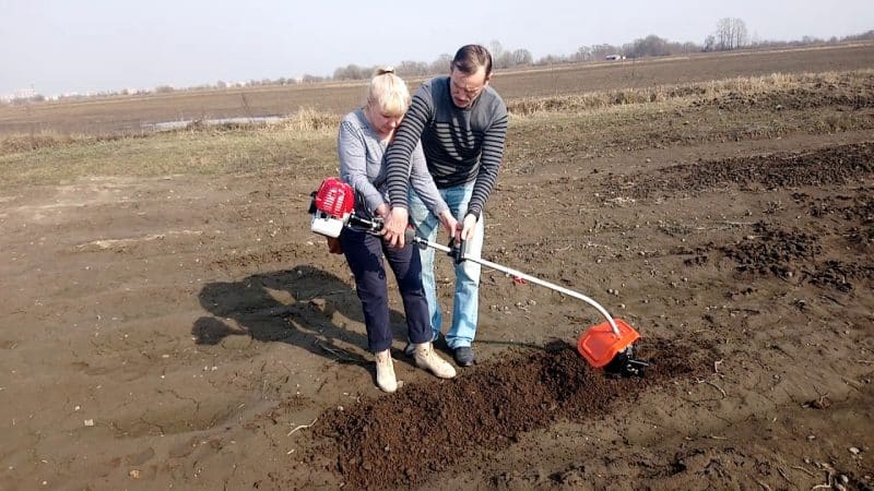 What does the trimmer attachment for weeding potatoes look like and how to use it correctly