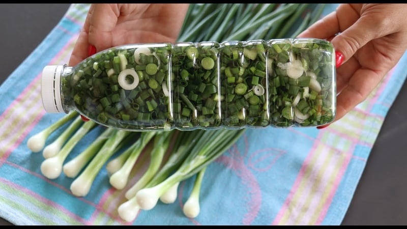 Step-by-step recommendations: how to dry green onions for the winter at home