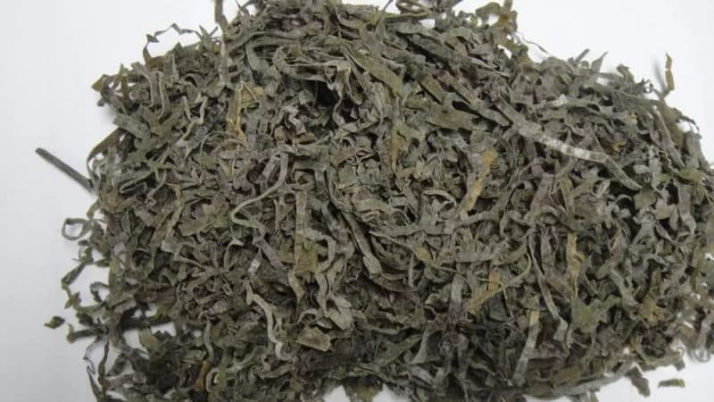 How to prepare dried cabbage and where to use such preparation