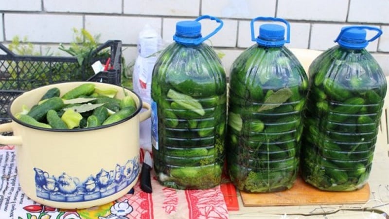 How to pickle cucumbers in a 5 liter plastic bottle: preparation, cooking and storage