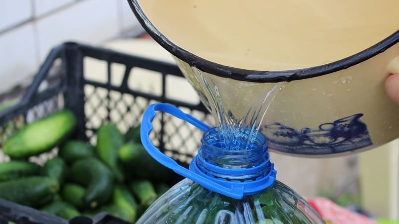 How to pickle cucumbers in a 5 liter plastic bottle: preparation, cooking and storage