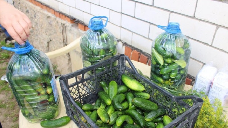 How to pickle cucumbers in a 5 liter plastic bottle: preparation, cooking and storage