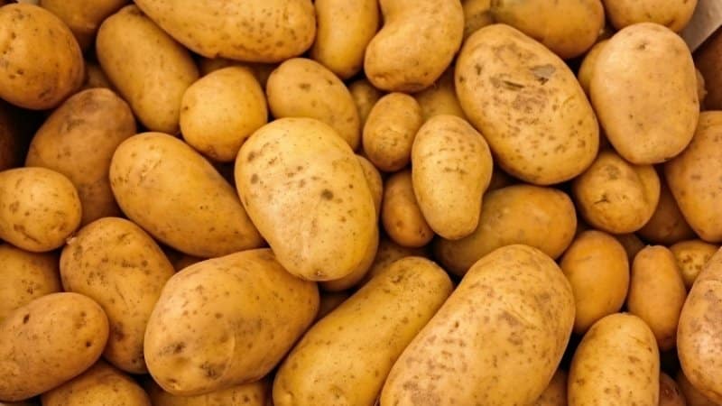 Calorie content of buckwheat, potatoes and millet – which one is healthier?