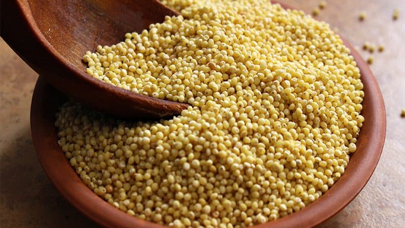 Calorie content of buckwheat, potatoes and millet – which one is healthier?
