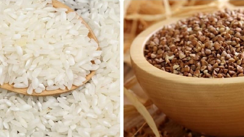 Calorie content of rice and buckwheat: which is healthier and more suitable for weight loss