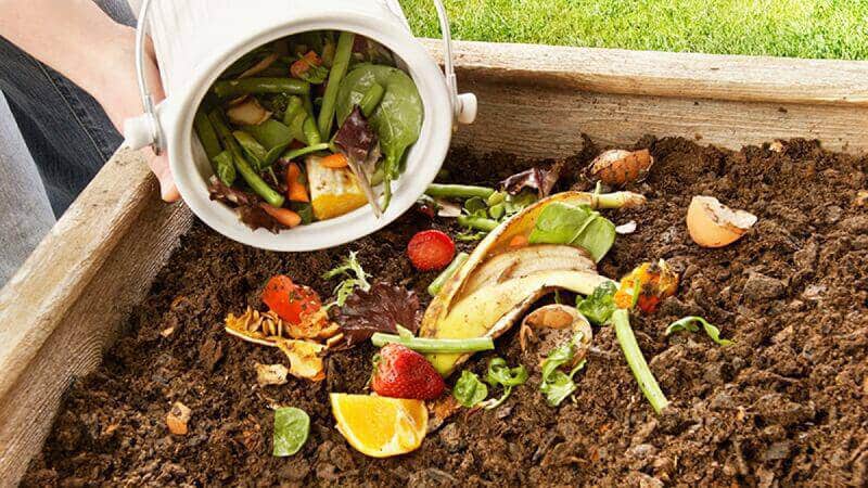For which plants can potato peelings be used as fertilizer?