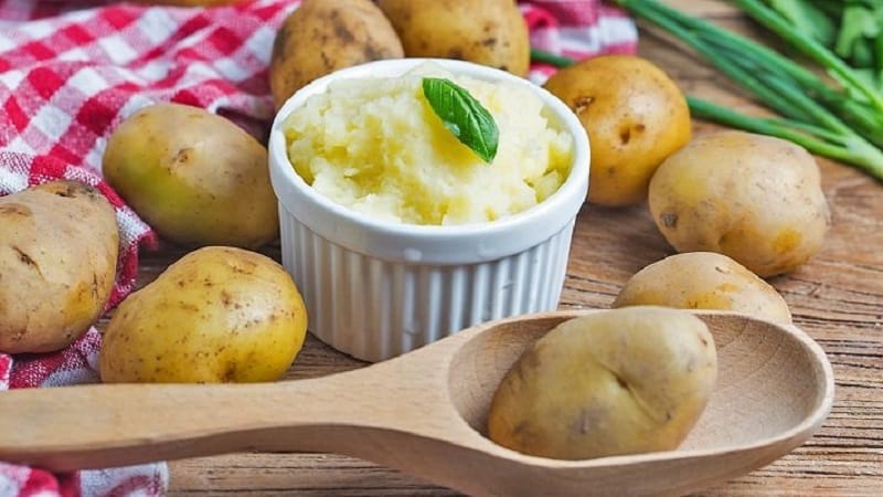 What to do if potato tubers become crumbly during cooking, and why this happens