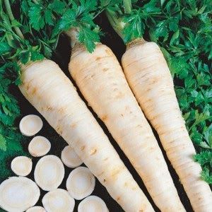 What is good about root parsley and why it is worth growing it
