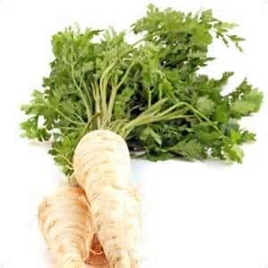 What is good about root parsley and why it is worth growing it