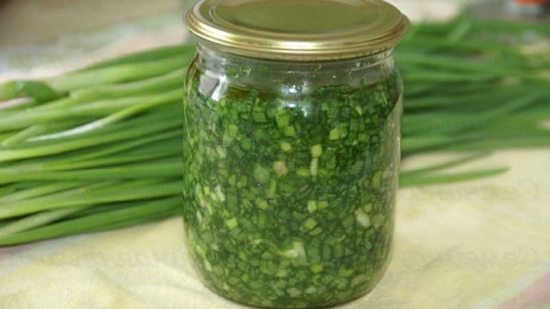 The best recipes for how to salt green onions for the winter quickly and easily