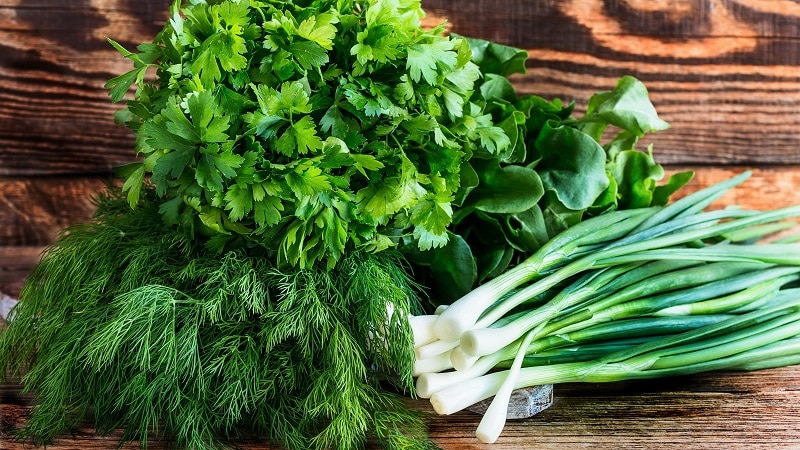 The best recipes for how to salt green onions for the winter quickly and easily