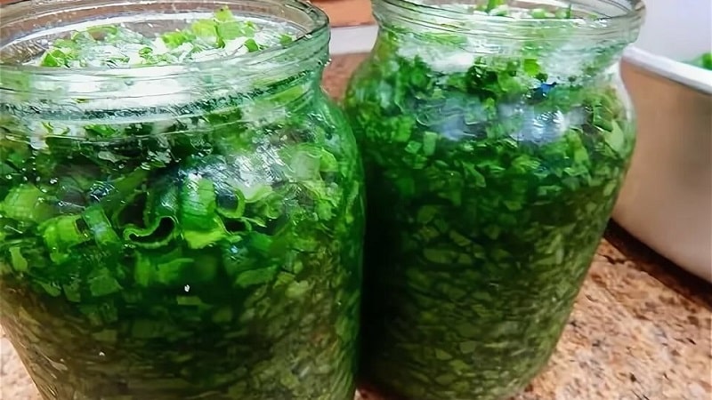 The best recipes for how to salt green onions for the winter quickly and easily