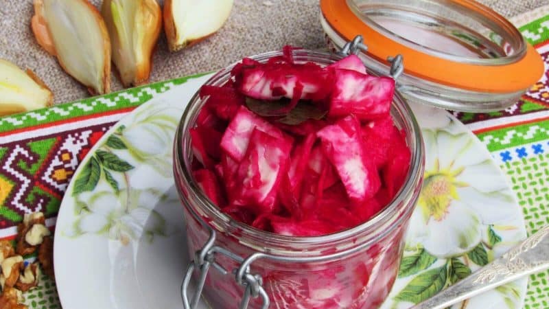 The best recipes for sauerkraut with beets from around the world