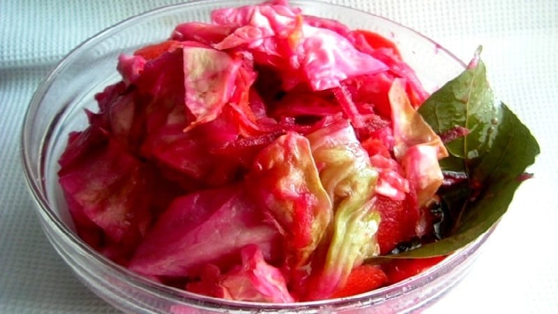 The best recipes for sauerkraut with beets from around the world