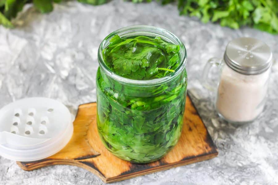 The best recipes for preparing leaf celery for the winter