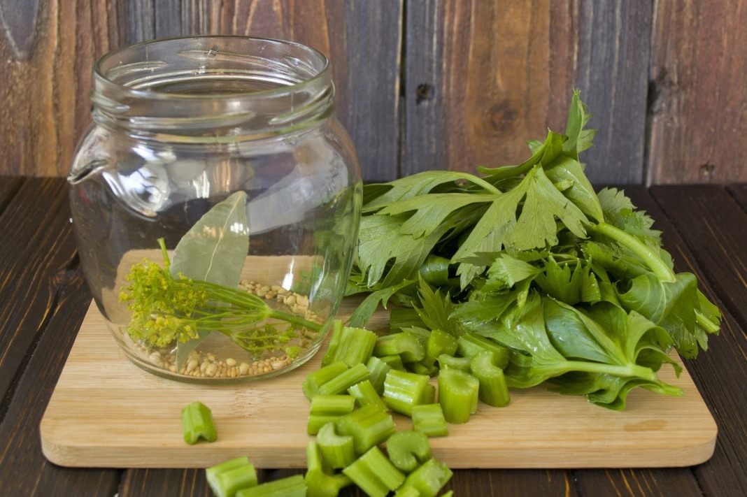 The best recipes for preparing leaf celery for the winter