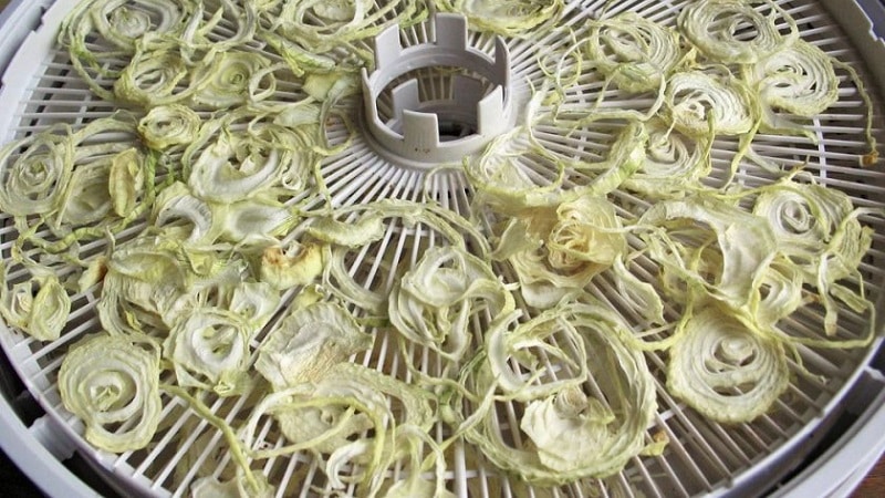 Best tips: how to properly dry onions after harvesting from the garden