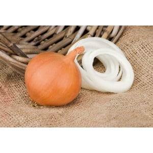 Multi-primed onion hybrid Manas, which tolerates drought well
