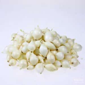 An unpretentious and stable onion hybrid, Stardust, high-yielding even with minimal care