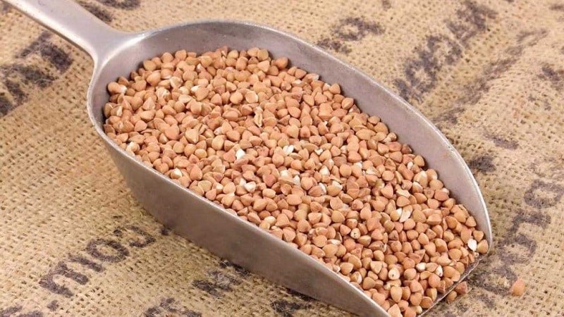 Can buckwheat cause heartburn and why?