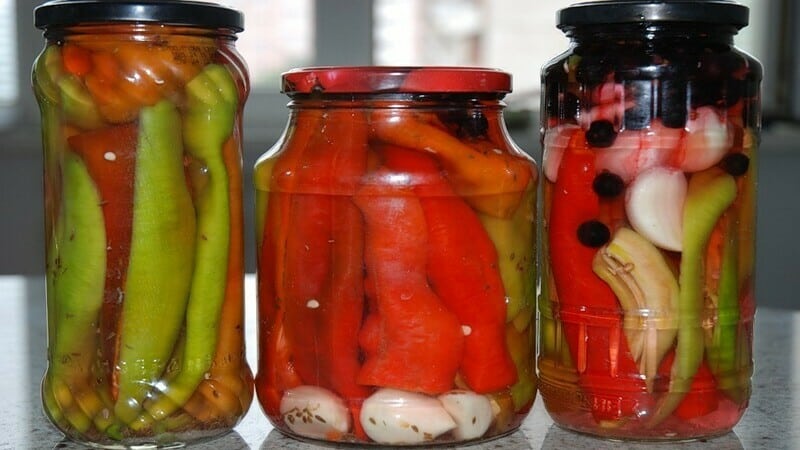 Hot peppers cold pickled in vinegar: the best recipes and advice from experienced housewives