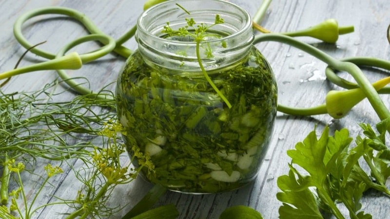 Instructions for preparing parsley with salt for the winter and other ways to preserve it