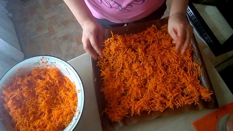 Useful properties and the most delicious recipes for carrot tea