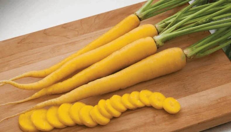 Beneficial properties of yellow carrots, and what is the difference from regular orange ones