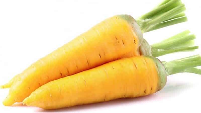 Beneficial properties of yellow carrots, and what is the difference from regular orange ones