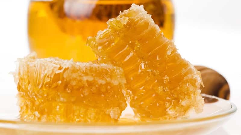 Does turnip with honey help with cough and how to use this medicine correctly