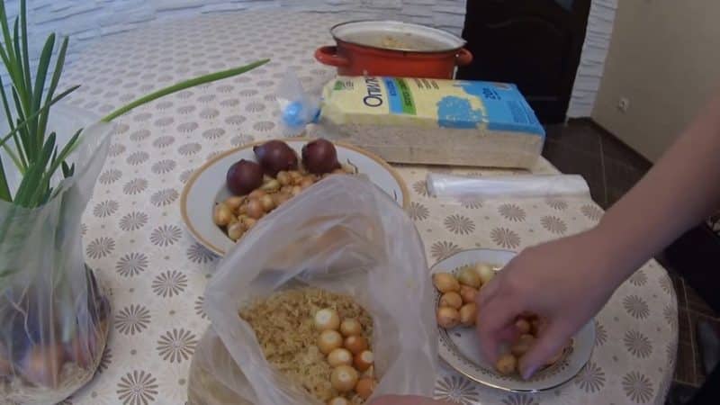 The technology of planting and growing onions in a bag without soil is a super way!