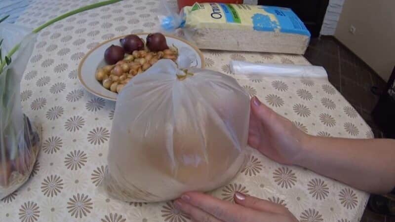 The technology of planting and growing onions in a bag without soil is a super way!