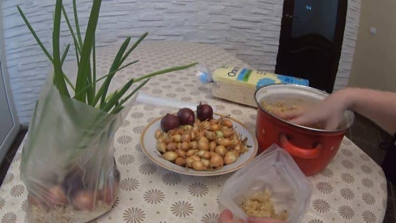 The technology of planting and growing onions in a bag without soil is a super way!