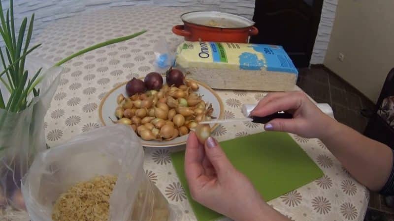 The technology of planting and growing onions in a bag without soil is a super way!