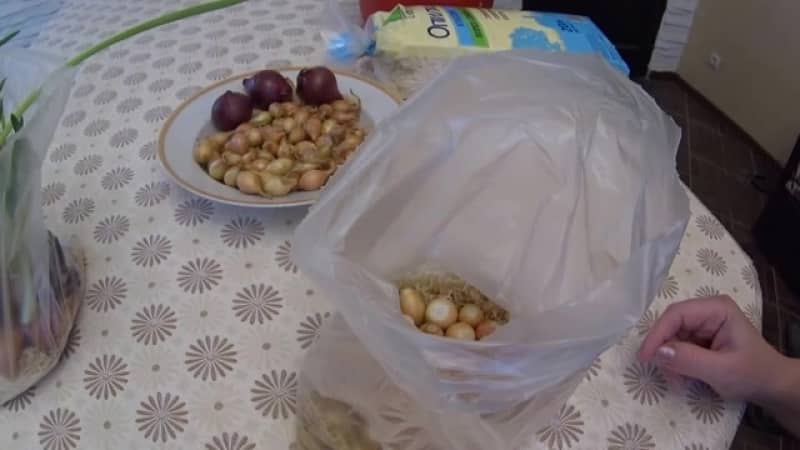 The technology of planting and growing onions in a bag without soil is a super way!
