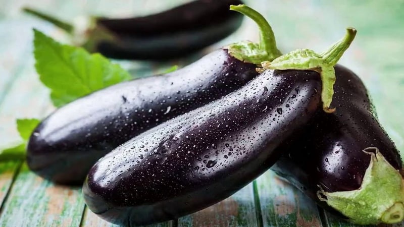 Amazingly delicious eggplant recipes without sterilization