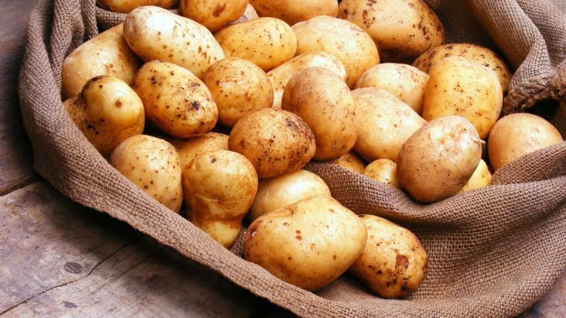 Rules for storing potatoes: can they be washed before storing?