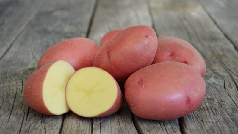 Excellent taste of red potatoes: what are their features and what types are there?
