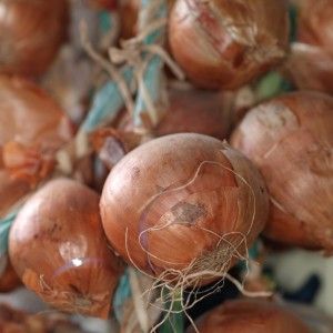 How to cure 100 diseases: the use of onion peels in folk medicine
