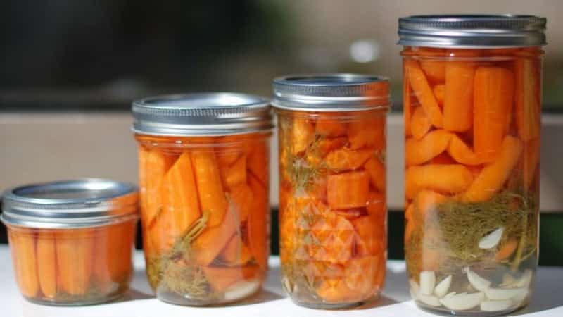 Simple and tasty recipes for pickled carrots