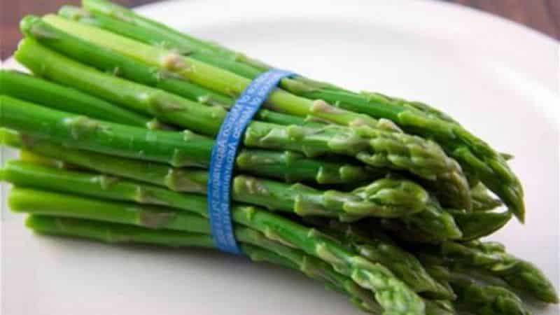 Varieties of asparagus: thin-leaved, Argentel and others