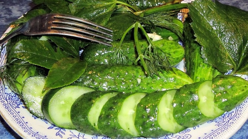 Classic recipe for lightly salted cucumbers in a pan with hot brine