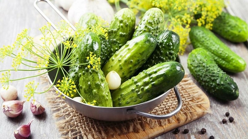 Recipes for crispy cucumbers without sterilization for the winter