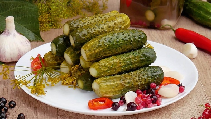 Recipes for crispy cucumbers without sterilization for the winter