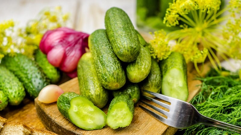 Recipes for crispy cucumbers without sterilization for the winter
