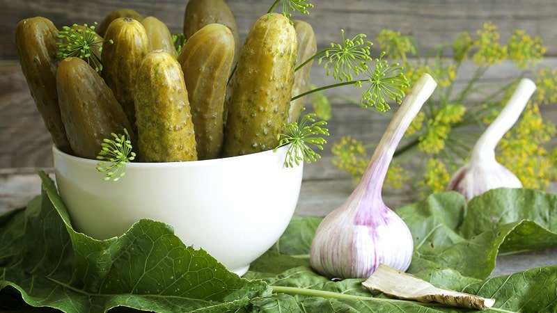 Recipes for crispy cucumbers without sterilization for the winter
