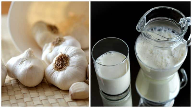 The best recipes with onions and milk for children's cough