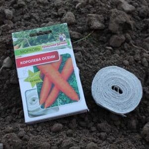 How to plant carrot seeds on tape and how to make them at home