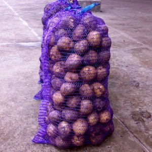 What is good about a mesh potato bag and how to use it correctly